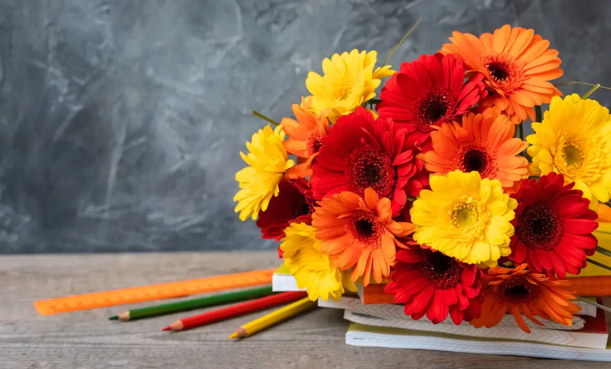 Ανθοπωλείο Κυψέλη - Athens Flower Delivery