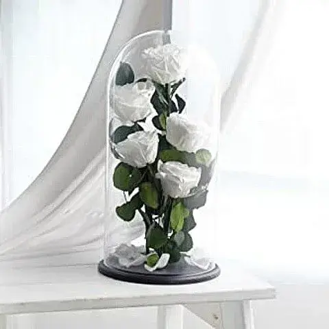 πέντε λευκά παντοτινά τριαντάφυλλα σε γυάλα αθήνα online ανθοπωλείο endless romance delivery