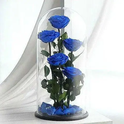 πέντε μπλε παντοτινά τριαντάφυλλα σε γυάλα αθήνα online ανθοπωλείο everlasting bloom delivery