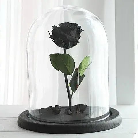 μαύρο παντοτινό τριαντάφυλλο αθήνα online ανθοπωλείο forever yours preserved rose delivery
