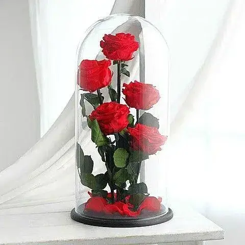 πέντε κόκκινα παντοτινά τριαντάφυλλα σε γυάλα αθήνα online ανθοπωλείο forever yours delivery