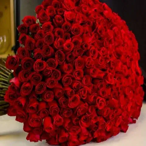 Order 300 red roses ultimate luxury bouquet for marriage proposal from Athens flower shop.