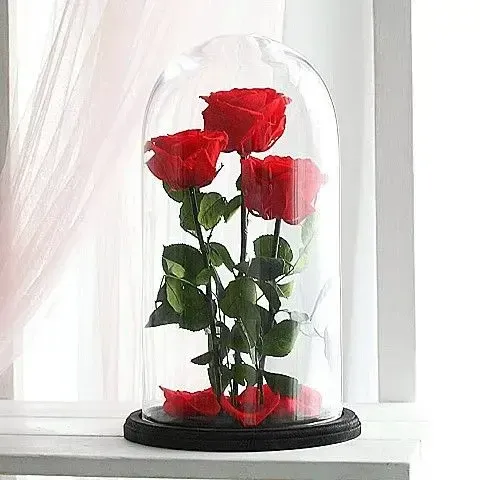 luxury γυάλινη καμπάνα με 3 forever roses κόκκινα, premium εντυπωσιακές γυάλες για την ημέρα των ερωτευμένων, online αγορά για 3 okkina αποχυμωμένα τριαντάφυλλα αυθημερόν αποστολή Αθήνα ανθοπωλείο