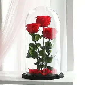 luxury γυάλινη καμπάνα με 3 forever roses κόκκινα, premium εντυπωσιακές γυάλες για την ημέρα των ερωτευμένων, online αγορά για 3 okkina αποχυμωμένα τριαντάφυλλα αυθημερόν αποστολή Αθήνα ανθοπωλείο