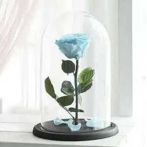 Πολυτελές κουτί με Forever Roses σε μπλε αποχρώσεις, ιδανικό δώρο για τον θάλαμο στο μαιευτήριο ΙΑΣΩ.