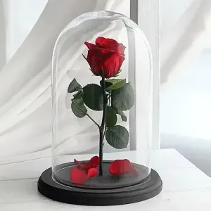 παντοτινό τριαντάφυλλο κόκκινο σε γυάλα αθήνα online ανθοπωλείο eternal love forever rose delivery