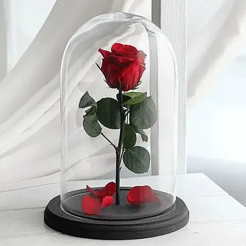 κόκκινο παντοτινό τριαντάφυλλο forever rose σε γυάλινη καμπάνα δώρο για εκείνη αθήνα ρομαντικό δώρο γενεθλίων online ανθοπωλείο αυθημερόν αποστολή