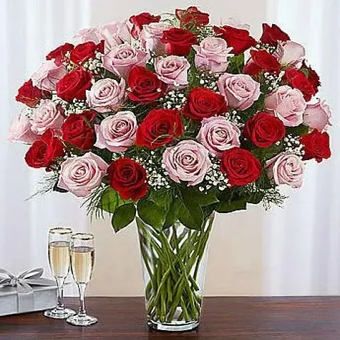 Order 50 red and pink premium roses for same day flower delivery from Athens shop.