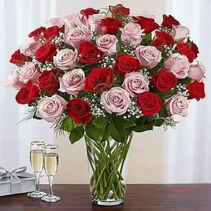 Order 50 red and pink premium roses for same day flower delivery from Athens shop.